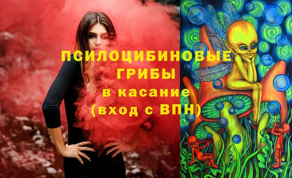 PSILOCYBIN Горнозаводск